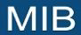 MIB GmbH Messtechnik und Industrieberatung Logo