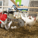 Livestock Robotics Logo
