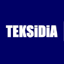 TEKSIDIA LIMITED Logo