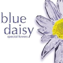 BLUE DAISY FLOWERS LIMITED Logo