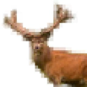 PIXEL STAG LTD Logo