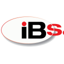 IB SERVICE LTD Logo