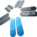 NIGSUN LIMITED Logo