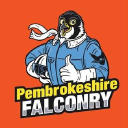 PEMBROKESHIRE FALCONRY LTD Logo