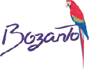 Bozanto Inc Logo