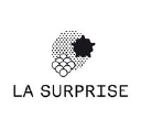 SURPRISE Logo