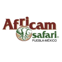 Africam, S.A. de C.V. Logo