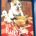 HAIRY DOG LTD Logo