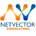 NetVector IT Services Logo