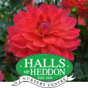 HALLS OF HEDDON LIMITED Logo