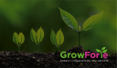 GROWFORTE LIMITED Logo