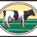 Springbank Cheese Co Logo