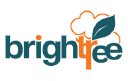 Brightree Pte Ltd Logo