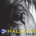 HALLEY MANAGEMENT LTD Logo