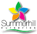 PECAN TRADING PTY LTD Logo