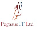 PEGASUS IT LIMITED Logo