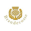 BRANDECOSSE LIMITED Logo