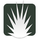 SMALL SPARK PROPRIETARY LIMITED Logo