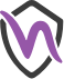 LARES NV Logo