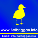 BALBRIGGAN INFO LIMITED Logo