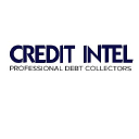 CREDIT INTELLIGENCE Logo