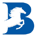 BLUE DELTA MARKETING LTD Logo