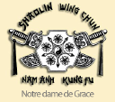 Ecole Wing Chun Nam Anh Kung Fu Logo