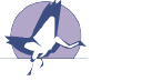 Bluecrane, Inc. Logo