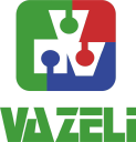 Grupo Vazeli Internacional, S.C. Logo