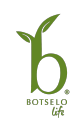 BOTSELO MILLS Logo
