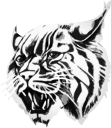 Chouteau Public Schools Logo