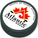 Atlantic Hockey Group Logo