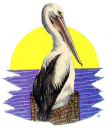 B SWAN & S SWAN Logo