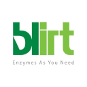 BLIRT S A Logo