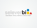 Seleverbi Logo