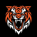 Brisbane Tigers Logo