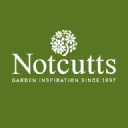 NOTCUTTS LIMITED Logo