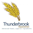 THUNDERBROOK LIMITED Logo