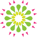 FLOWER FLOW PTY LTD Logo