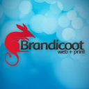 BRANDICOOT PTY LTD Logo