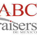 ABC Appraisers de Mexico, S.A. de C.V. Logo