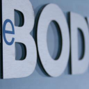 THE BODYWORKS PRACTICE LTD Logo