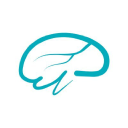 BRAIN STREAM AUSTRALIA PTY. LTD. Logo