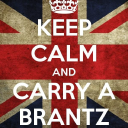 BRANTZ LIMITED Logo