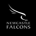 NEWCASTLE FALCONS LTD Logo