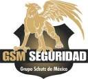 Grupo Schutz de Mexico, S.A. de C.V. Logo
