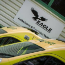 EAGLE III LIMITED Logo