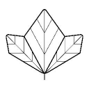 HERBALIST LTD Logo