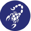 BLUE SCORPION LTD Logo