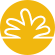 Sedum AB Logo